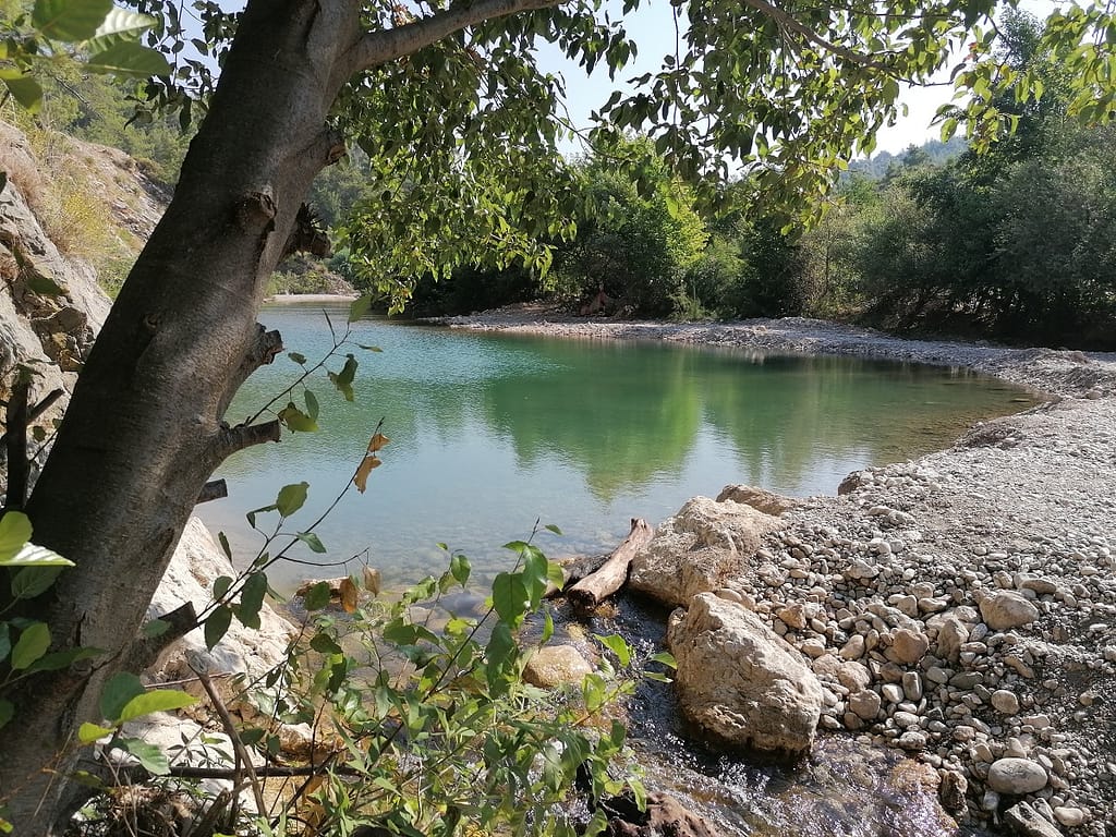 Water bij BeÅŸkonak Rivier met bos